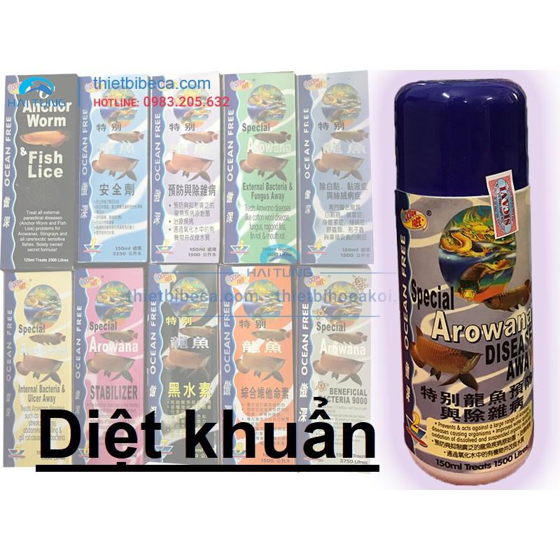 CÁ RỒNG CHAI SỐ 2 OCEAN FREE