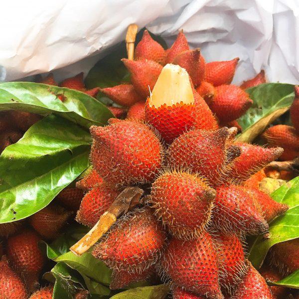 Cây giống Mây Thái Rừng Chua Ngọt