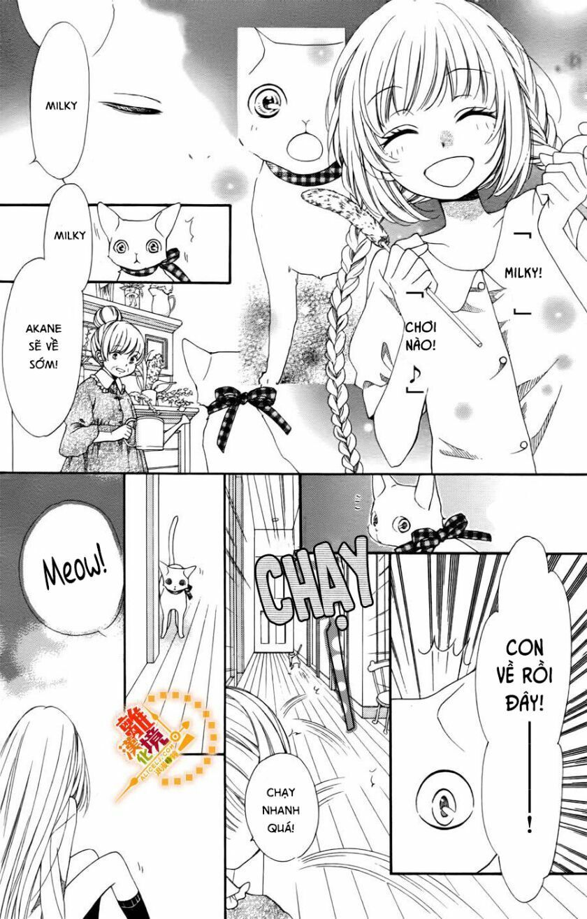 the romantica clock chapter 41.4 14