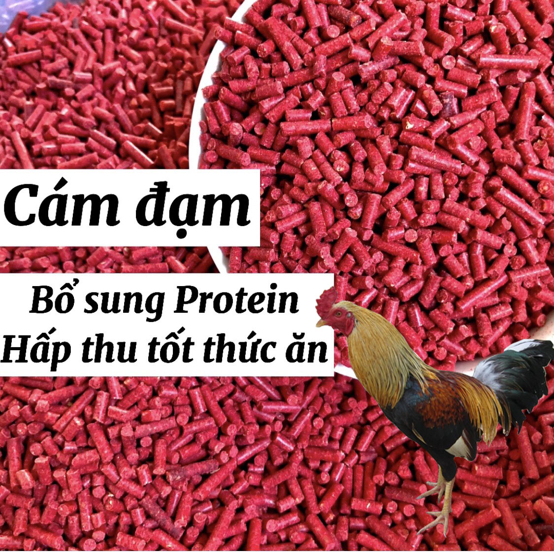 Cám đỏ đạm cho gà đá, thức ăn bổ sung đạm cho chiến kê