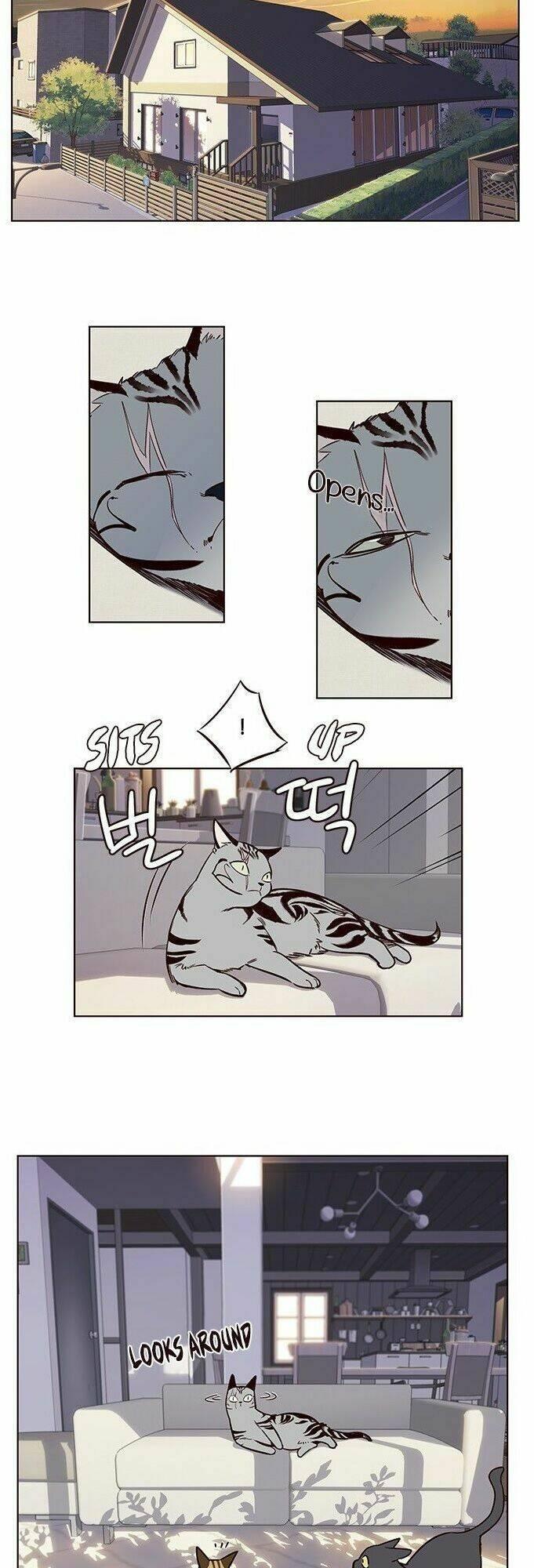 biến thân thành mèo chapter 7 36