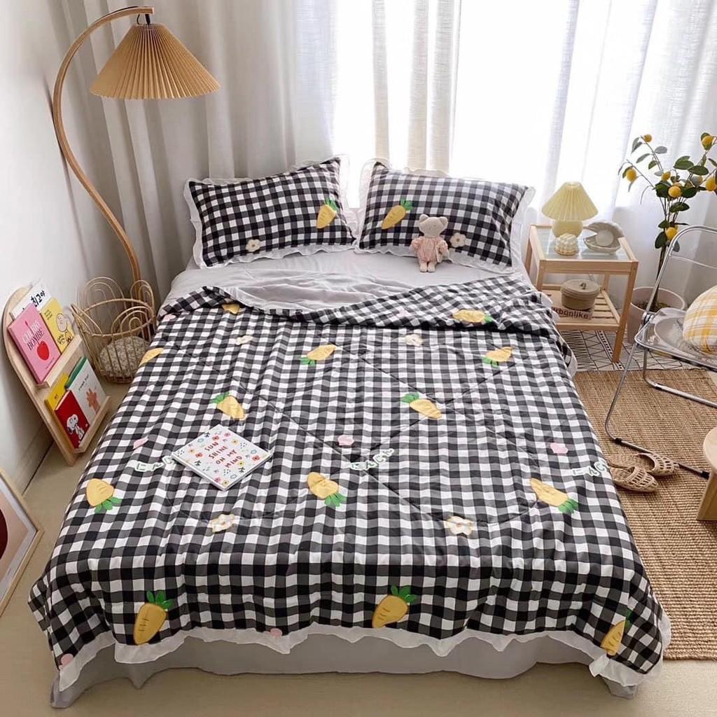 Bộ chăn ga gối đũi trần viền bèo chát chọn mẫu