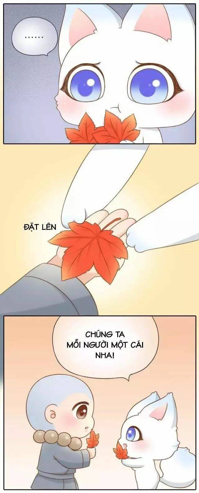 tiểu hồ ly vs tiểu hóa thượng chapter 64 12