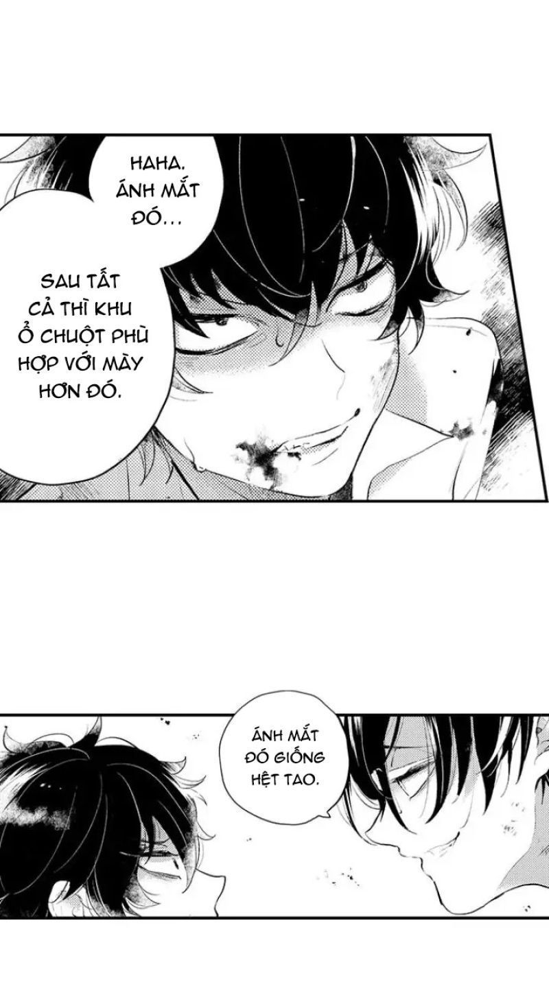 tiếng gọi của tình yêu sau trải nghiệm cận tử chapter 38 3