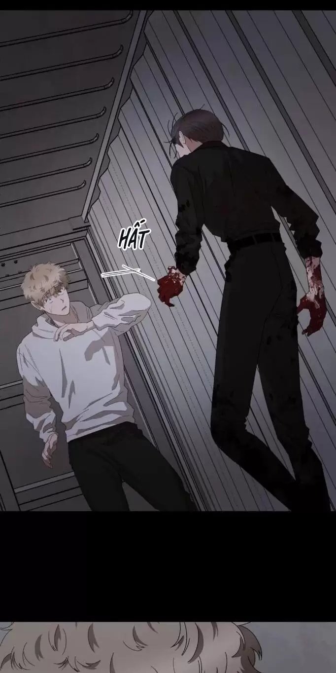 liveta chapter 36 38