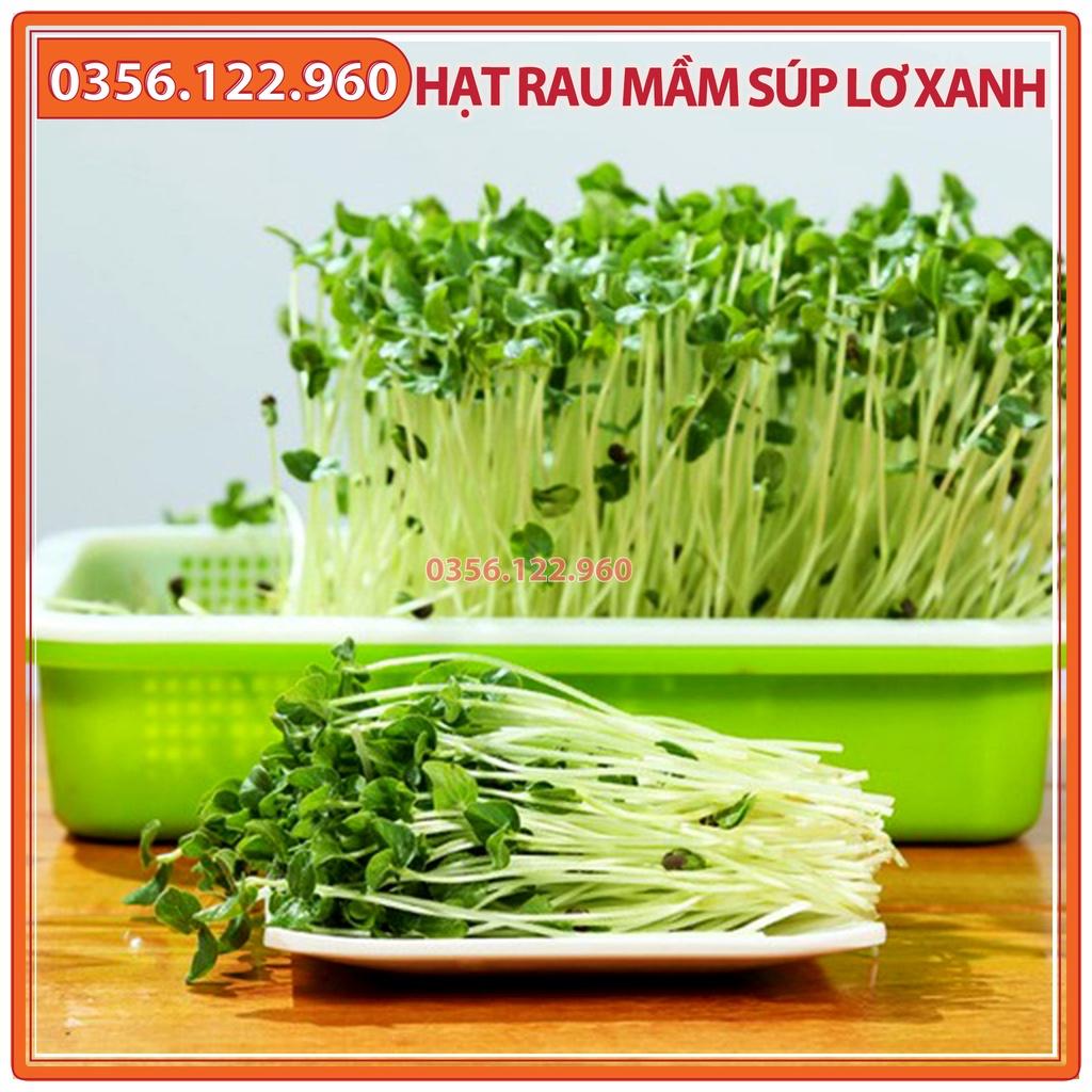 Hạt rau mầm rau súp lơ xanh - gói 20g