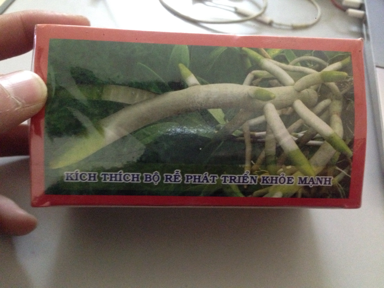 HVP 1602.HK3 - DƯỠNG CÂY SAU RA HOA CHO PHONG LAN, BON SAI