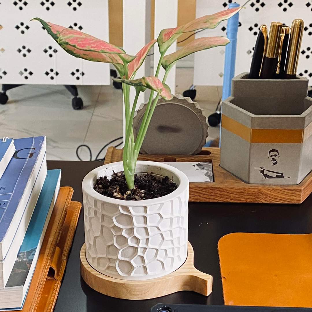 Đĩa lót chậu trồng cây xi măng cho dòng PL10 SIZE S 16.4x1cm , chậu trồng cây, cây cảnh mini, để bàn, treo ban công, treo tường, cao cấp, chính hãng thương hiệu CORI SEEART GIATHANH DECOR