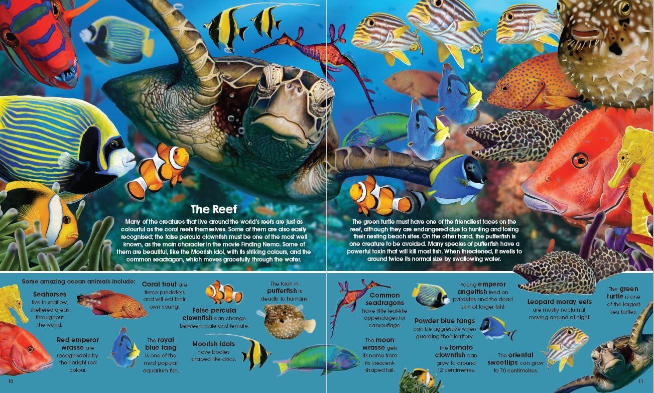 Garry Fleming's Sea Animals - Book &amp; Jigsaw Vol. 2