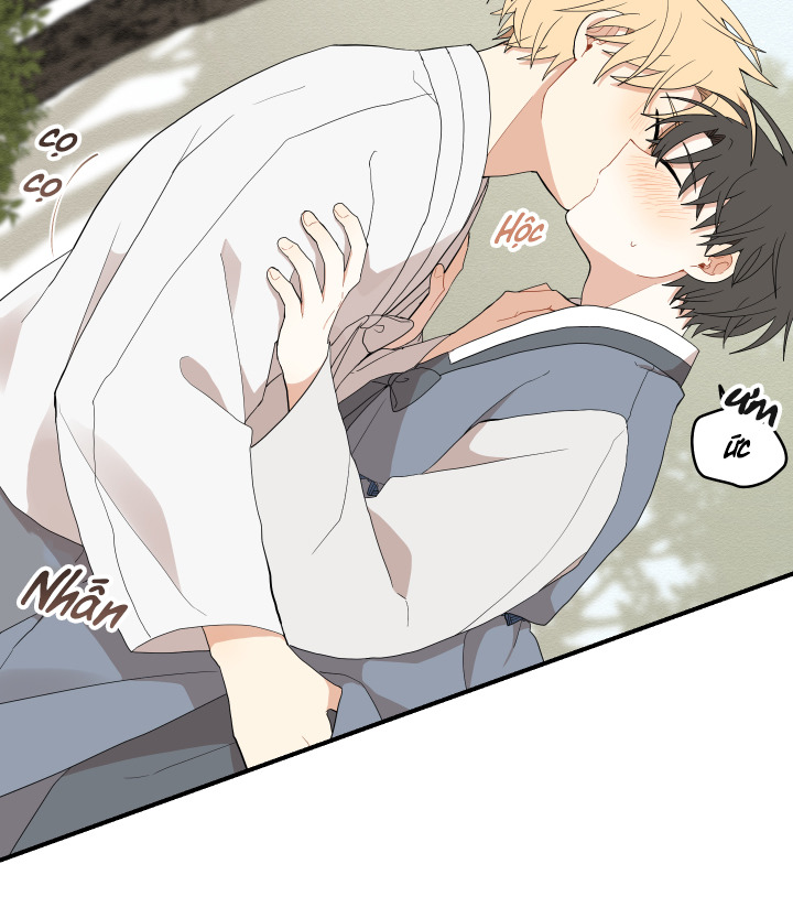 đường hoa liên kiều rơi chapter 20 48