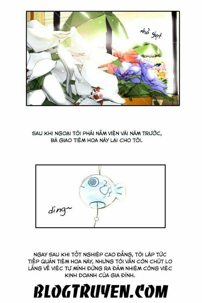 khúc hát người cá siren chapter 1 10