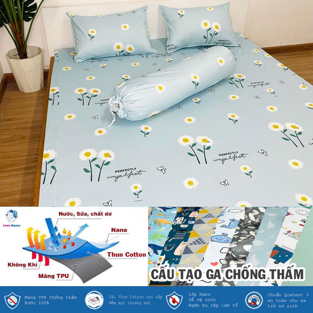 Ga chống thấm Cotton cao cấp bông cúc chống thấm tuyệt đối ga mềm mại thoáng mát