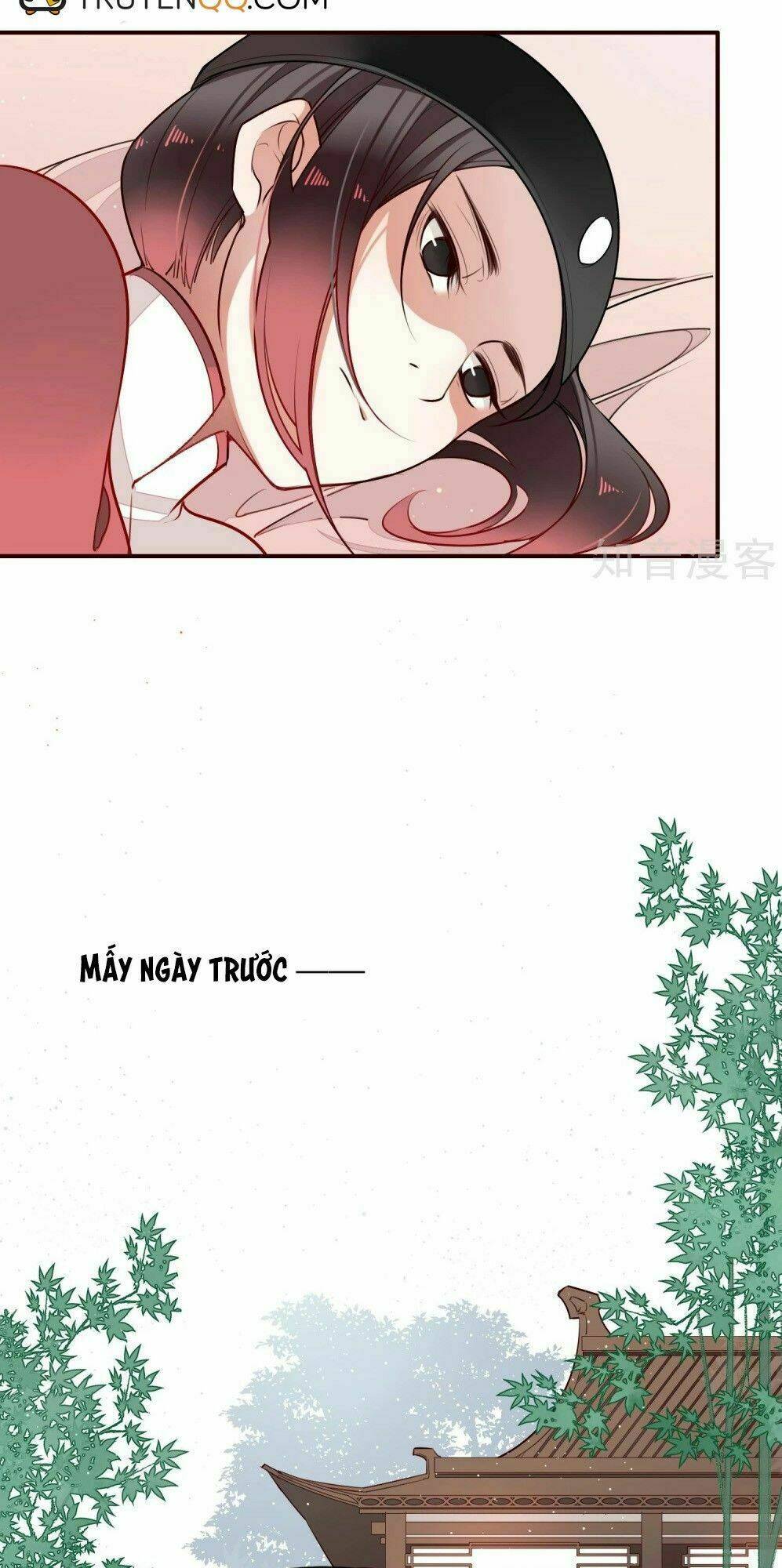 bỉ ngạn hoa chapter 11 7