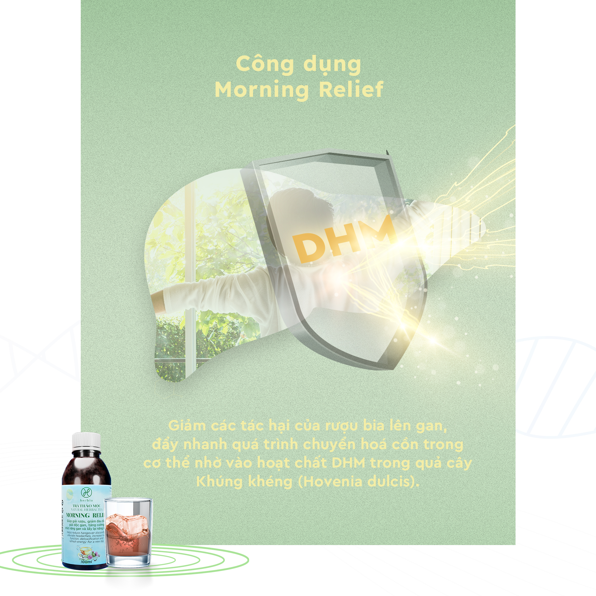 TRÀ THẢO MỘC GIẢI RƯỢU BỔ GAN HERBIO MORNING RELIEF - xóa tan cảm giác mệt mỏi, đau đầu sau khi dùng rượu bia, giảm tác hại của rượu bia lên gan, lấy lại năng lượng cho cơ thể - CHAI 100ML