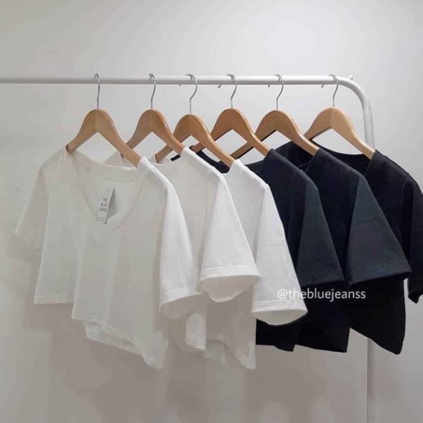 Áo croptop trơn cổ tim nhiều màu
