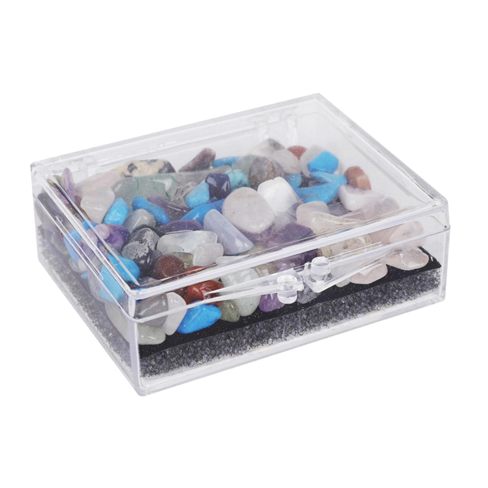 Rock and Mineral Educational Collection Science Ornament Stem for Gift Girls