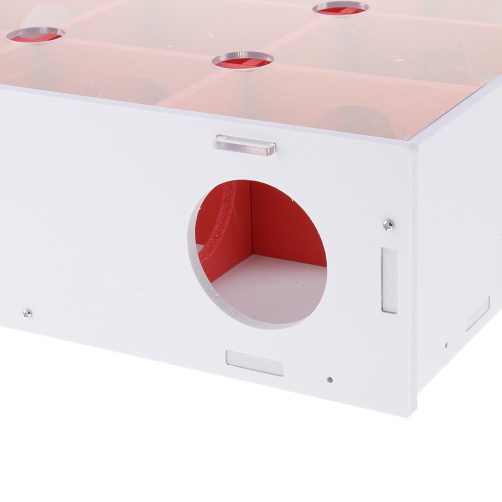 Maze Tunnel Toy Small Animals Activity Sport Gerbil Labyrinth Exercise Toy