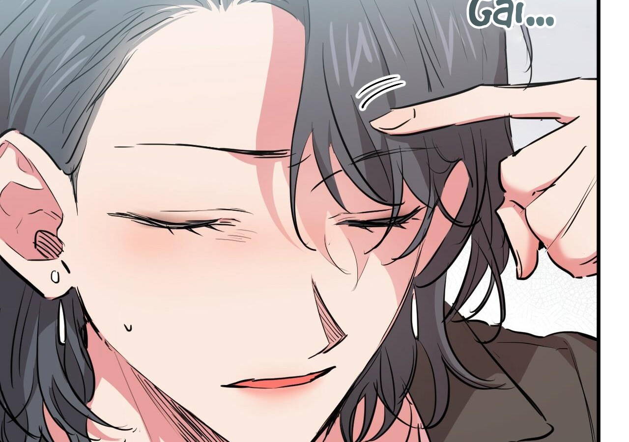 đàn thỏ của habibi chapter 20 146