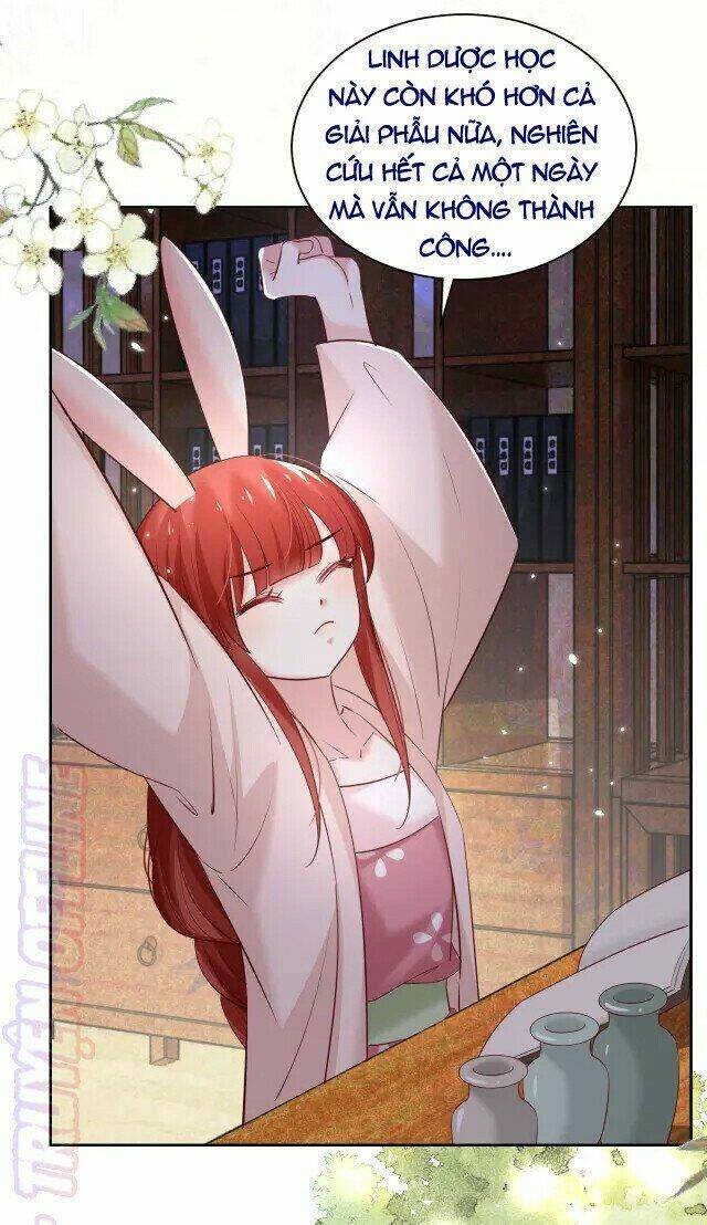 hắc hóa nam chính trực tuyến nuôi thỏ chapter 45 19