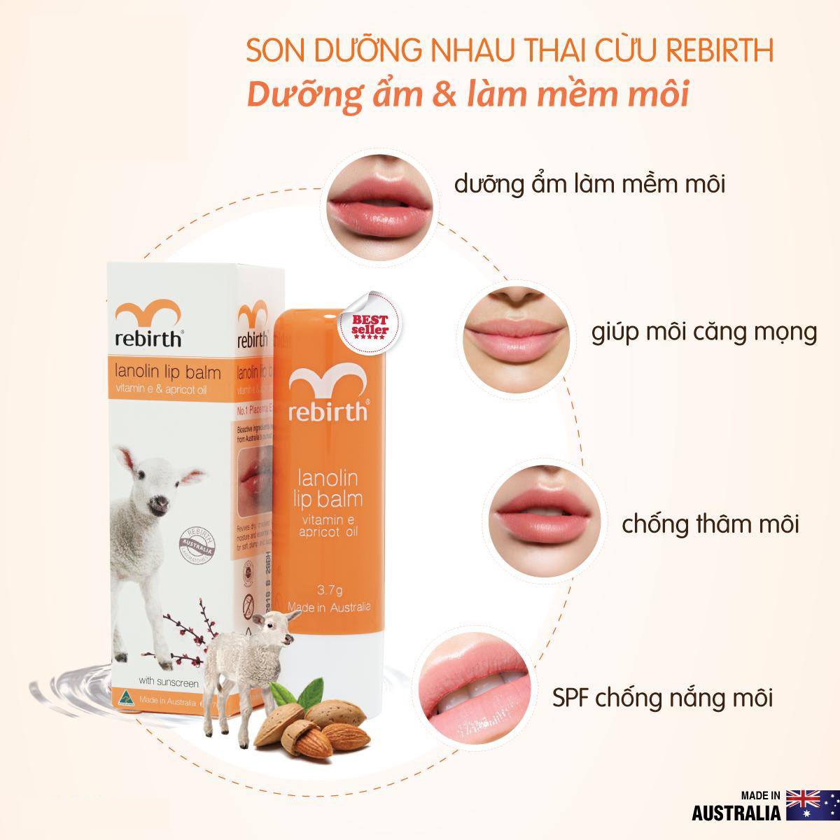 Combo 2 son dưỡng ẩm, ngăn ngừa khô nứt nẻ, trị thâm môi nhau thai cừu Rebirth