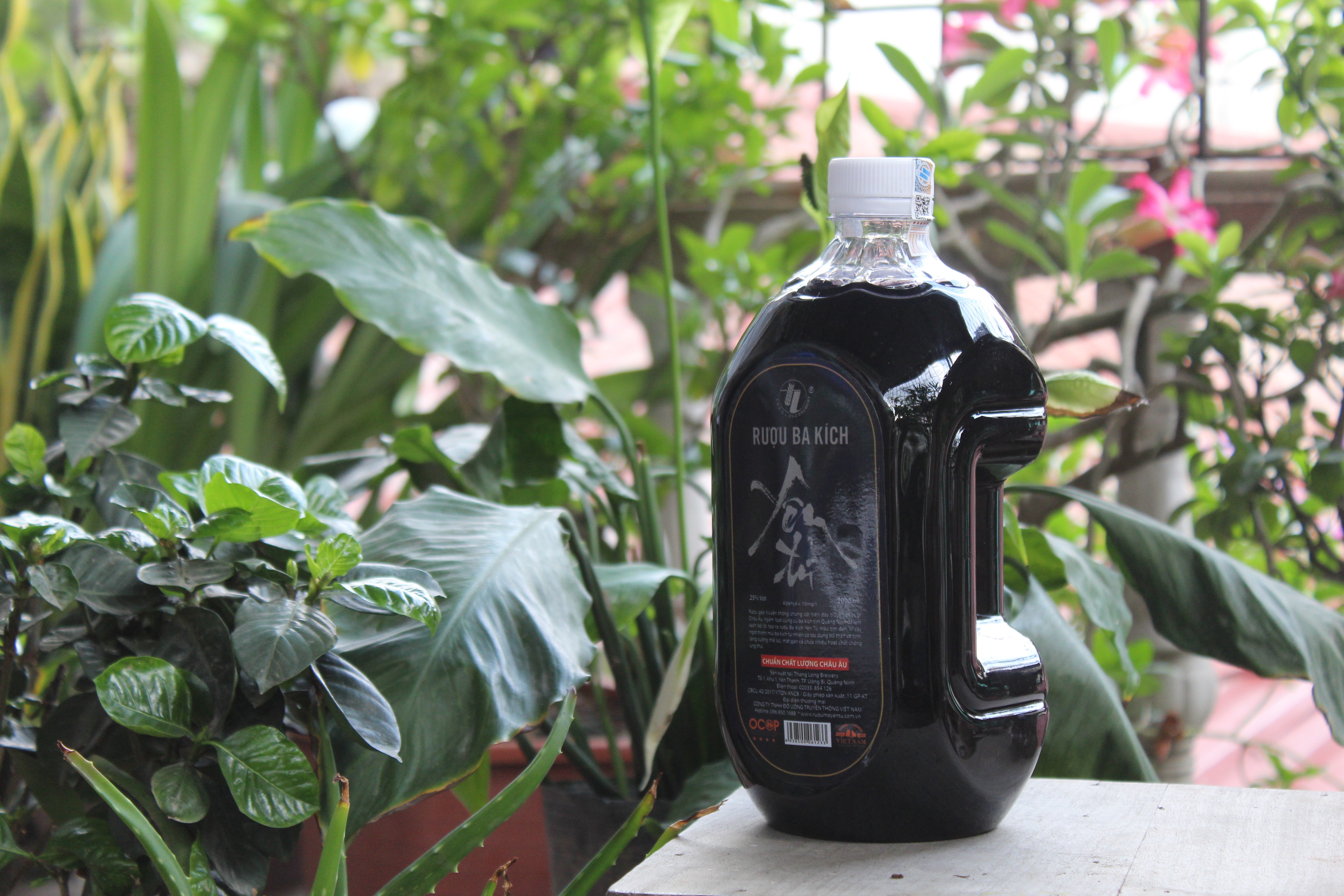 Rượu Ba Kích Yên Tử 27% Vol Chai Thủy Tinh 500ml - OCOP 4 Sao - Đặc sản Quảng Ninh