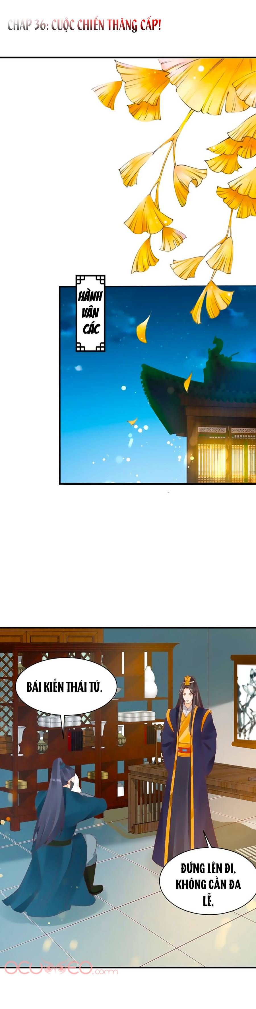 thịnh thế lê hoa điện chapter 36 2