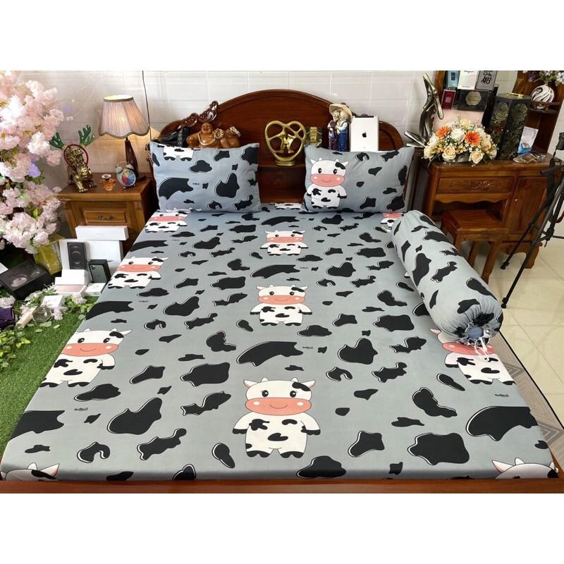 Drap thun hàn quốc