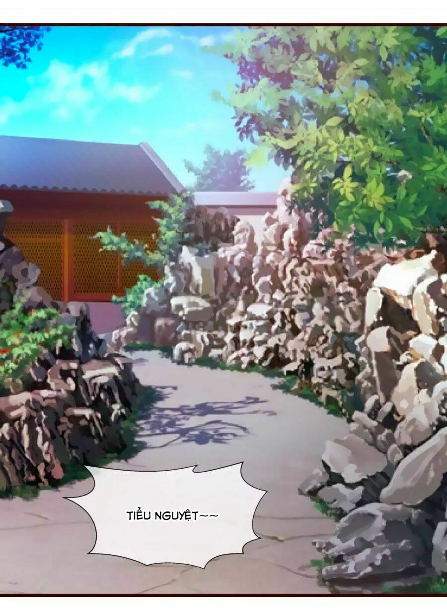 thỏ yêu tiểu vương phi chapter 18 8