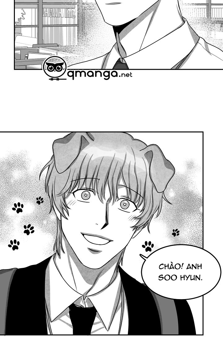 khi cún biết yêu chapter 8 8