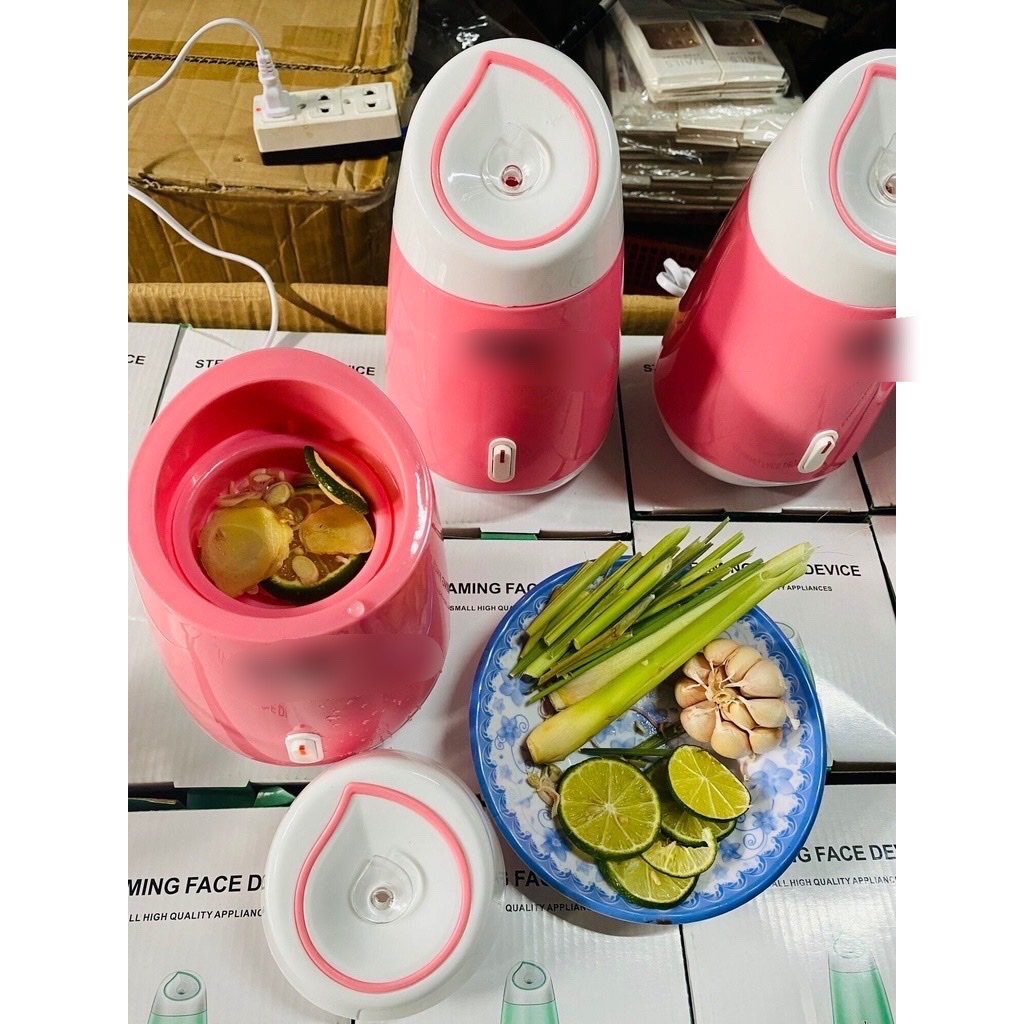 Dụng cụ làm đẹp -Máy xông hơi hoa quả  cho cảm giác thư giãn sương mù Nano thấm sâu vào da, ,giữ ẩm 2 trong 1.