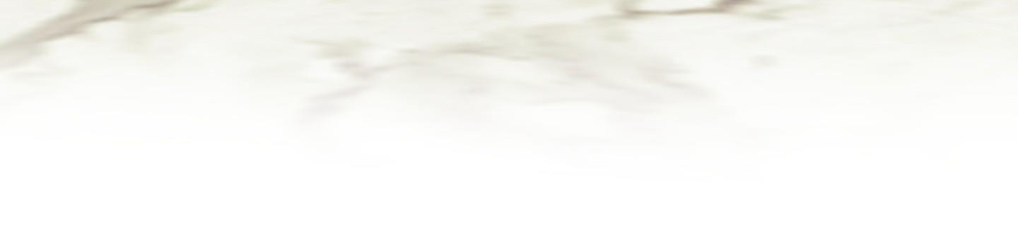 định rõ mối quan hệ chapter 28 207