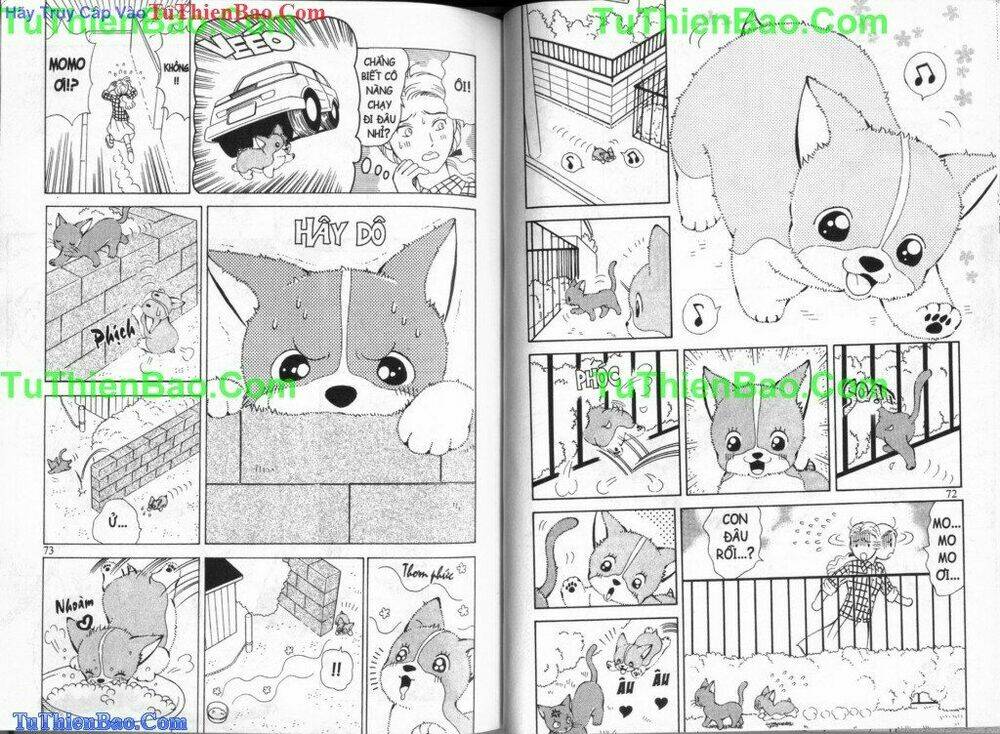 chó con mo mo chapter 3 38