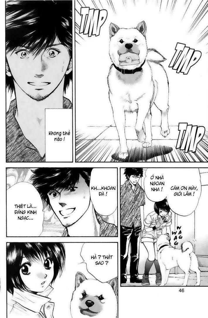 cô nàng yêu chó chapter 22 4