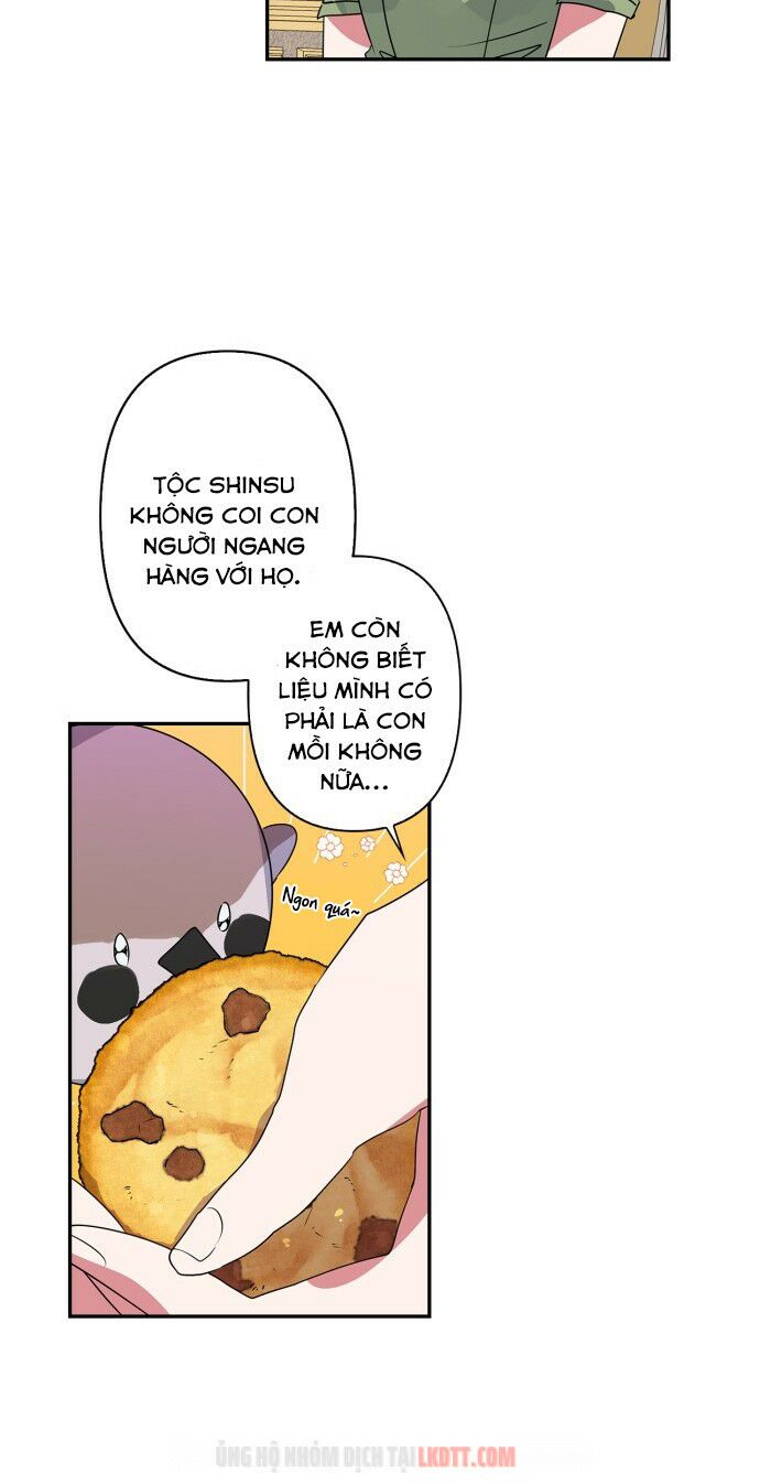 tôi đang nuôi dưỡng một con quái thú chapter 27 10