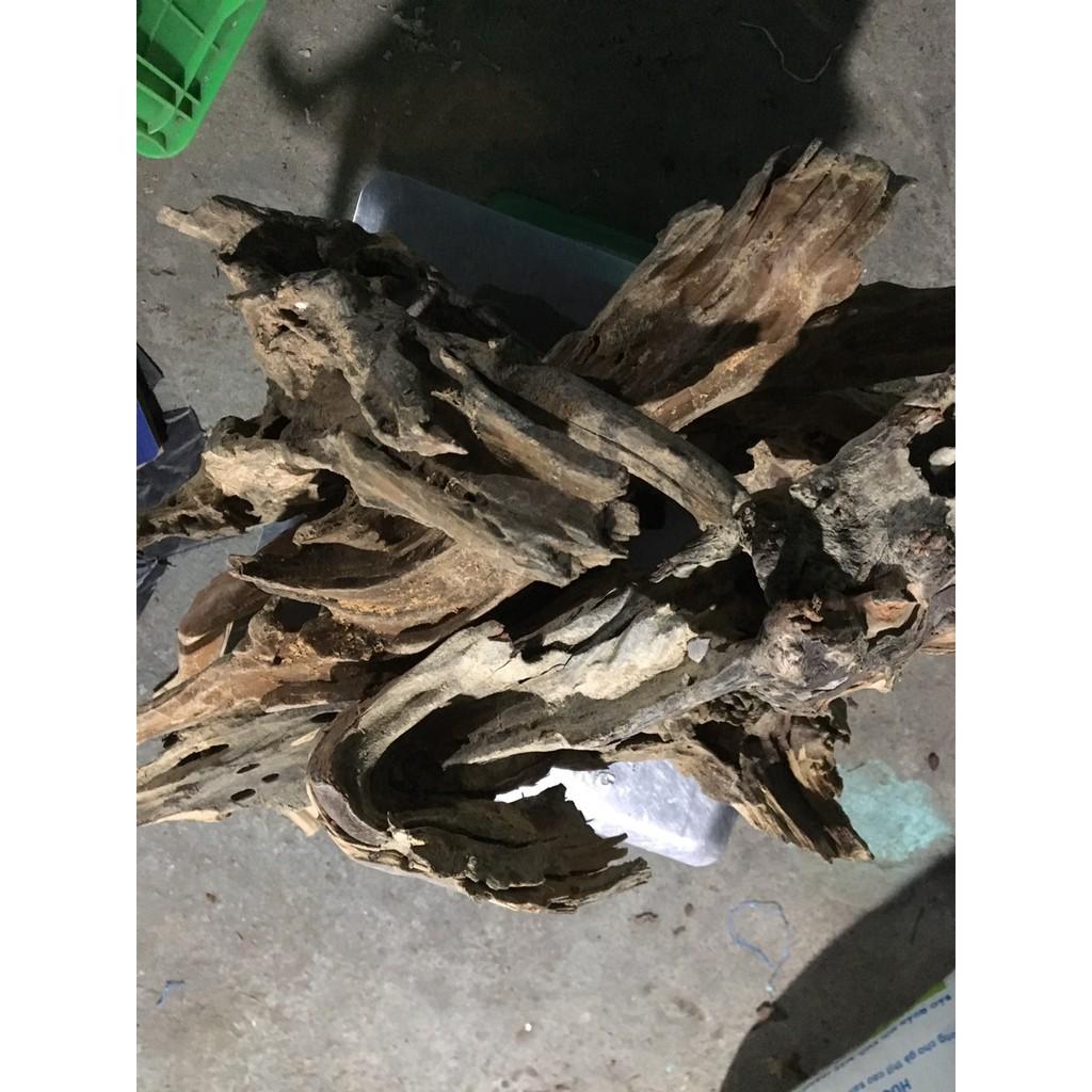Gỗ lũa ghép lan hoặc thủy sinh 4kg