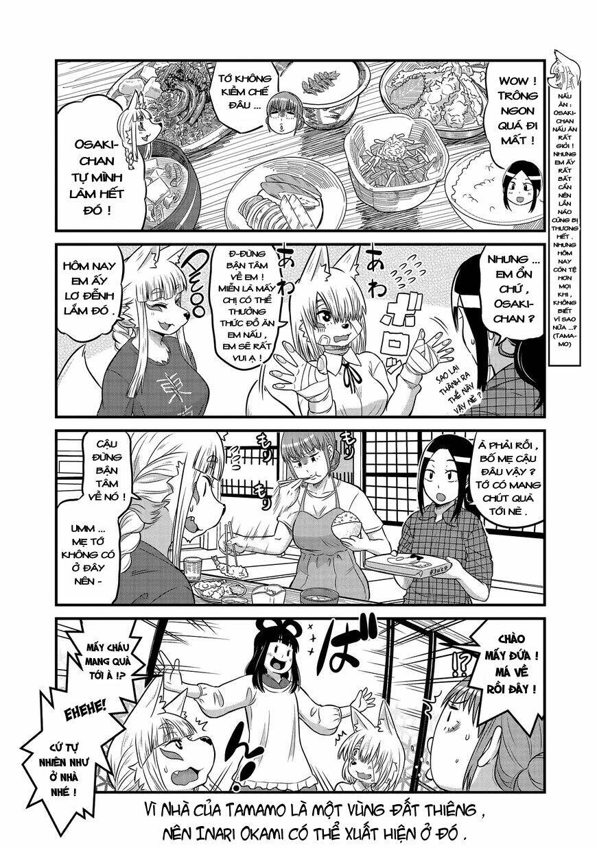 high school inari tamamo-chan ! chapter 19 5