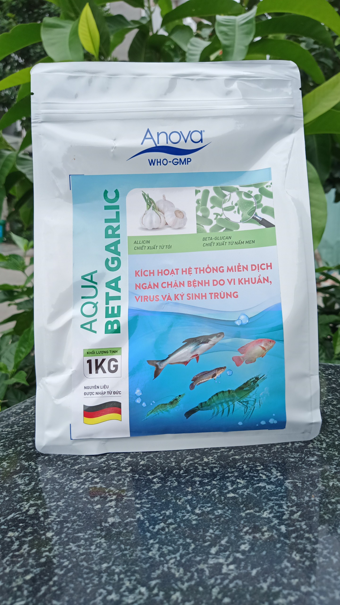 Aqua Beta Garlic tăng cường miễn dịch, phòng ngừa các bệnh đốm trắng, EMS, phân trắng, gan tụy trên tôm; viêm ruột, xuất huyết, sưng chướng bụng, gan thận mủ, lở loét, thối đuôi trên cá, tôm