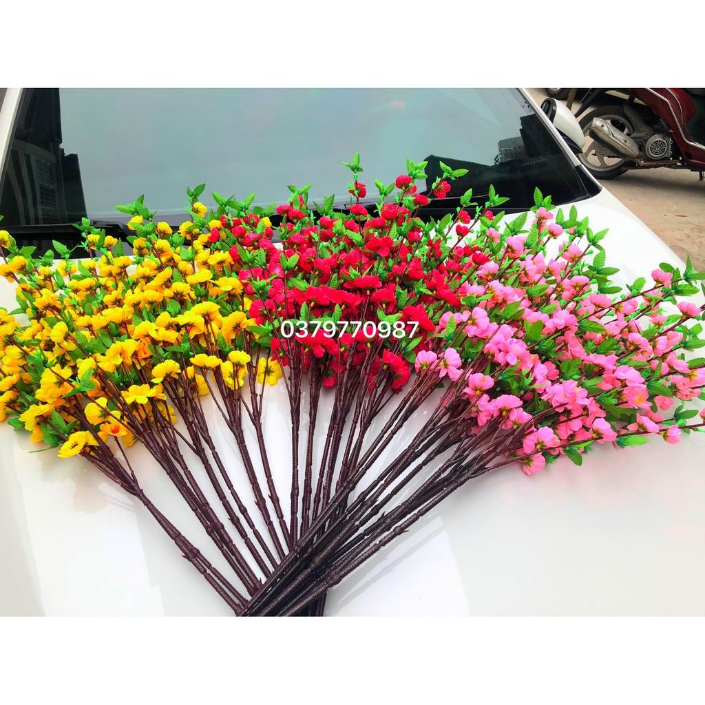 Hoa đào giả - Đào bích