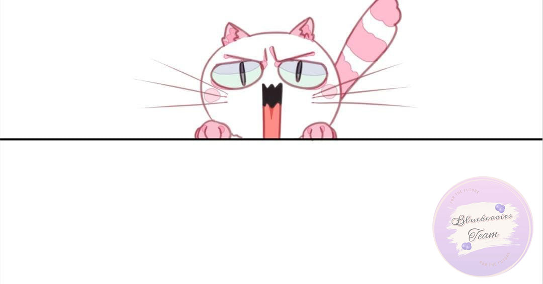 social cat chapter 1 86