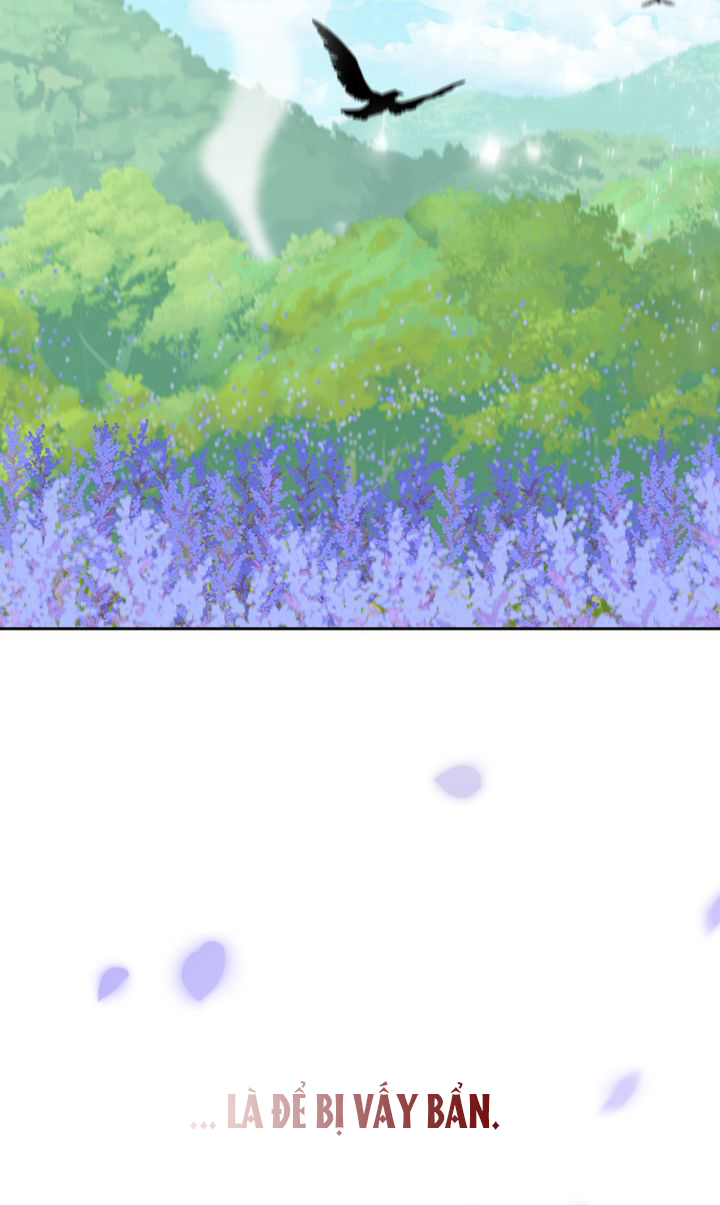 tìm lại nàng camellia chapter 0 25