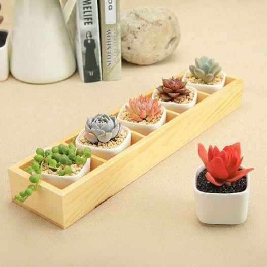 Kệ gỗ đựng đồ xinh xinh để bàn hộp 5 ngăn đựng cây cảnh