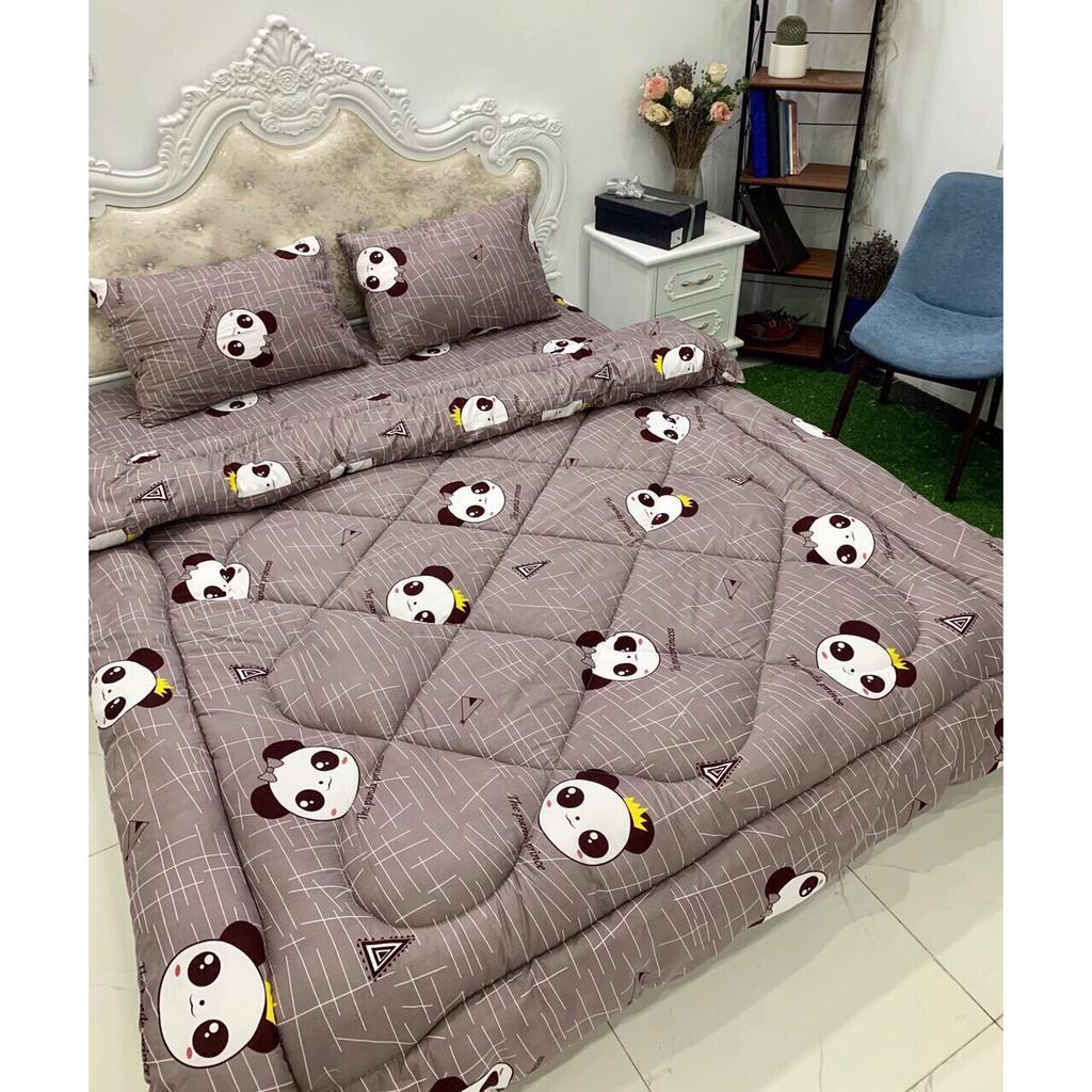 Bộ chăn phao ga gối poly cotton,được chọn mẫu,cúc họa mi vàng