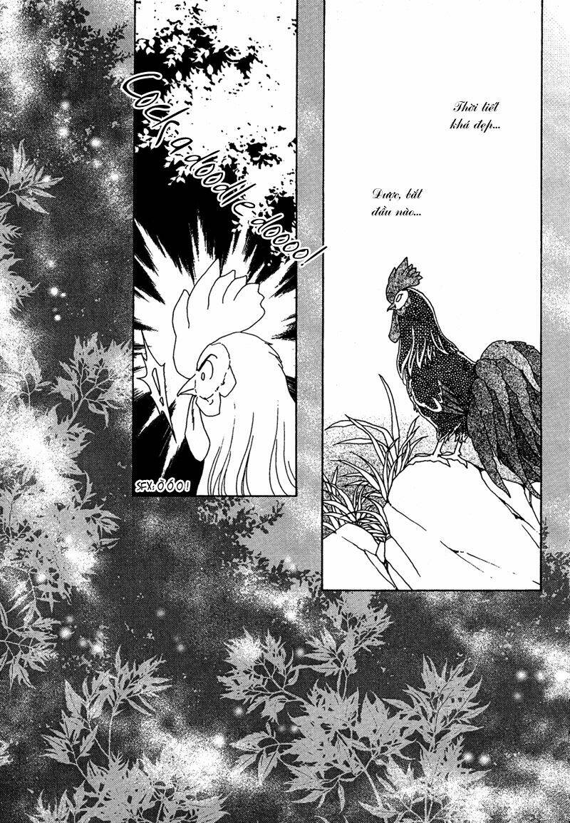 bird of youth chapter 7 2