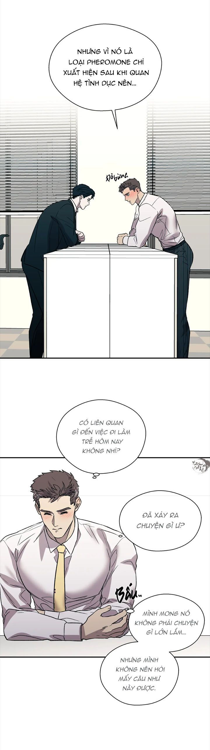ám ảnh pheromone chapter 17 22