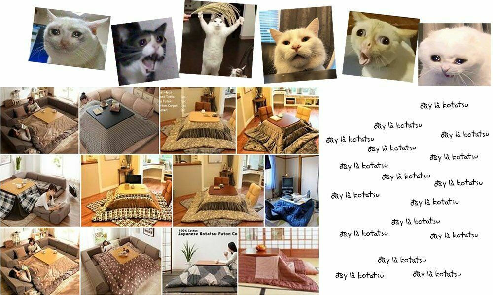 amano megumi wa suki darake! chapter 60 17