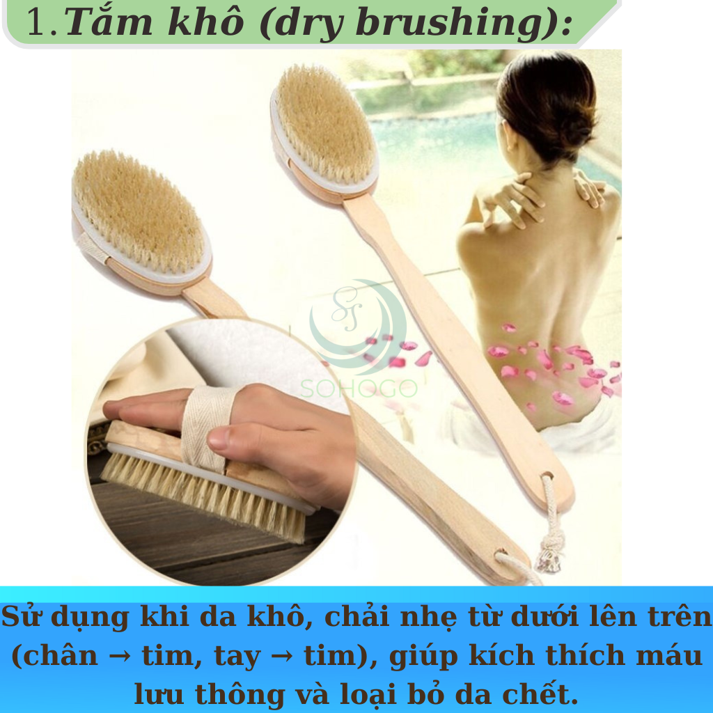 Bàn chải tắm cán dài bằng gỗ tự nhiên - Bàn chải massage cơ thể cao cấp - Cọ tắm khô &amp; ướt cán dài tiện lợi - Bàn chải chà lưng chống tế bào chết - Bàn chải tắm toàn thân spa tại nhà