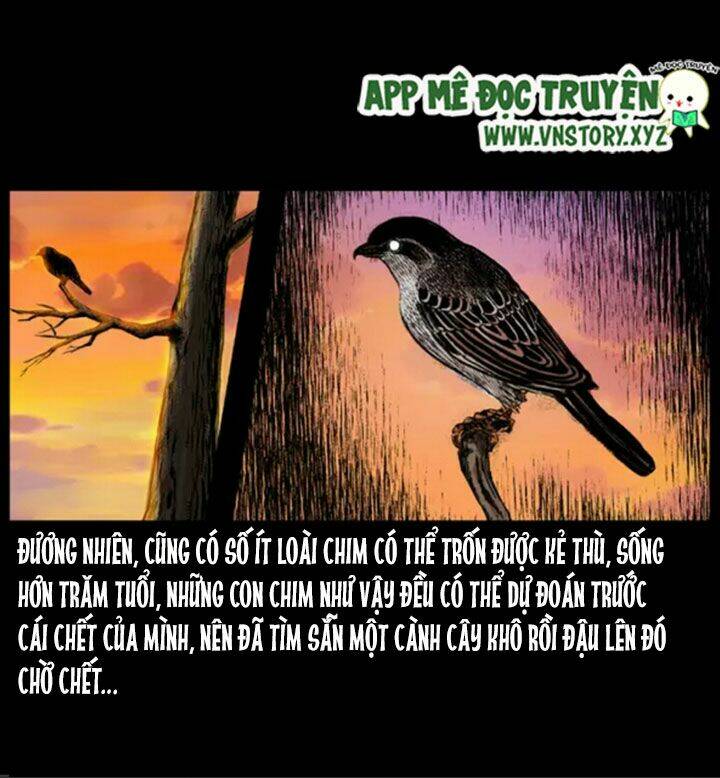 U Minh Ngụy Tượng Chapter 38 9