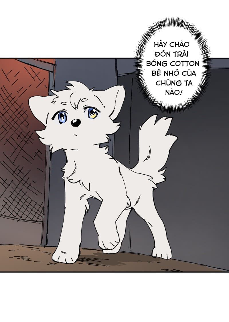 lumine - cội nguồn ánh sáng chapter 106 35