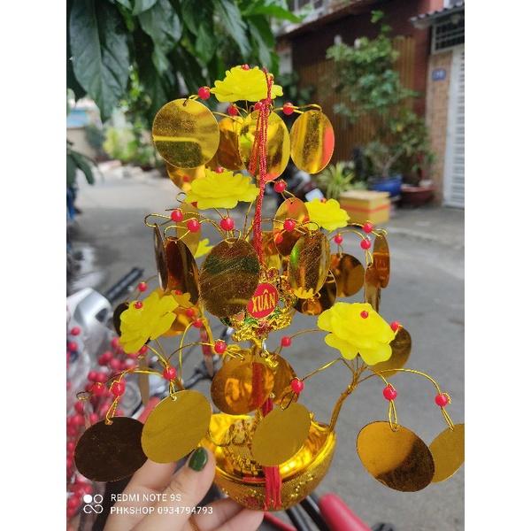 Cây kim tiền hoa mẫu đơn vàng cát tường ~25cm thành phẩm phk shop