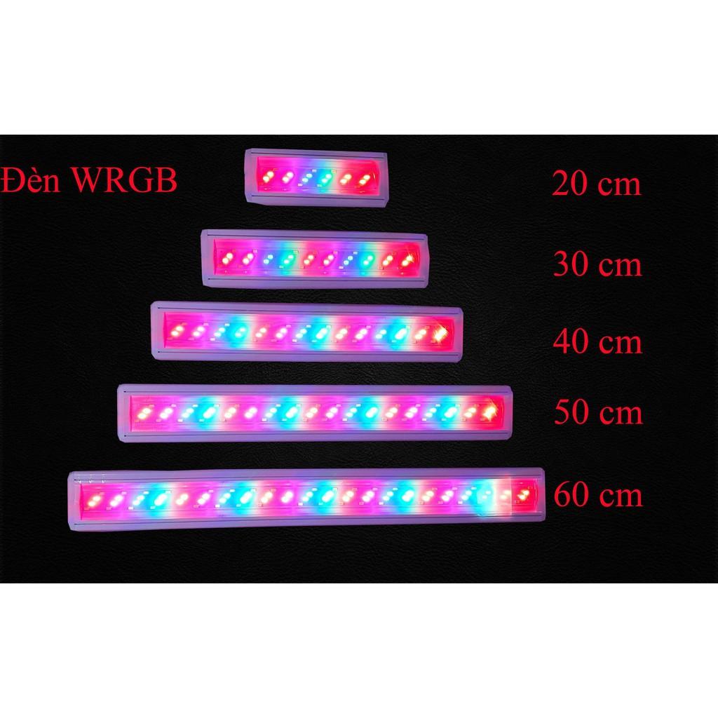 Đèn bể cá ️️ Đèn led máng dành cho bể thủy sinh 20cm, 30cm, 40cm, 50cm, 60cm